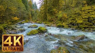 Beautiful Nature Video in 4K Ultra HD  Autumn River Sounds  5 Hours Long [upl. by Oakleil]