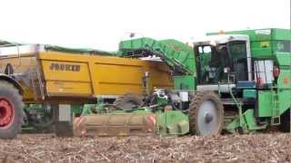 Aardappelen rooien 2012 met AVR Puma van loonbedrijf Hoedemakers Fendt 939 [upl. by Faria]