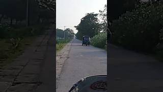 bolag amp automobile fruitgarden bolag fruitplants shorts edit travel varul youtube fruit [upl. by Edlin650]