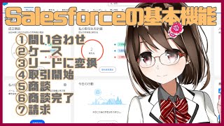 【 初心者  Salesforce 】参加型配信のエントリーシステムを作りたい！ 15【 Vtuber  燕支にあ 】 [upl. by Acimehs]