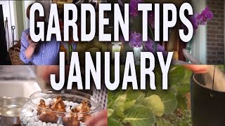 Winter Garden Tips and Projects P Allen Smith January [upl. by Ellirpa]