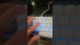 How to click D on a MAGEGEE keyboard [upl. by Asirrac310]