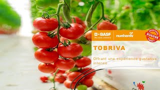 BASF  Nunhems TOF Tobriva [upl. by Jacenta]