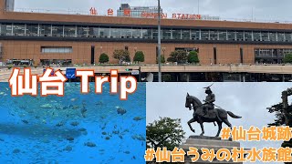 【仙台観光】東北最大都市 杜の都宮城県仙台市を観光 [upl. by Ylatan]