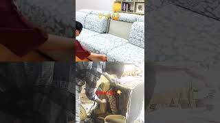 old sofa new design how to make an old sofa repairing youtubeshorts shortvideo shorts short [upl. by Eislrahc]