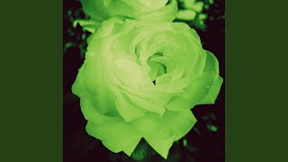 Green Flower [upl. by Oletta]