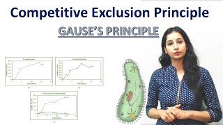 Competitive Exclusion Principle I Gauses Principle I Ecology I Evolution I [upl. by Naesar]