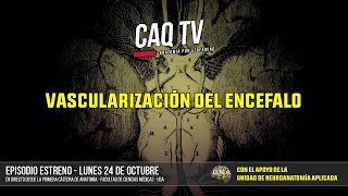 CAQ TV 2022  Episodio 23 Vascularización del encéfalo [upl. by Eilla]