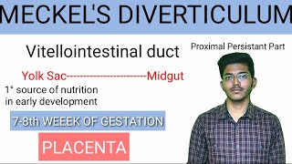 Meckels Diverticulum made easy  Embryology  Anatomy [upl. by Ramedlaw]