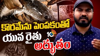 కొరమేను పెంపకంతో యువ రైతు అద్భుతం  Korameenu Fish Farming  10TV Life [upl. by Elrebma]