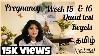 Pregnancy Week 15 Tamil  16 weeks pregnant in Tamil  Kegels Tamil  Quadruple Test Tamil [upl. by Hun]