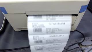 Printer Barcode amp Label Thermal Datamax ECLASS DMXE4304 e4304 [upl. by Ysnil]