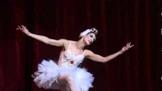 Hillarious Parody of Michael Fokines Choreography of THE DYING SWAN Dancer  Ida Nevaseyneva [upl. by Ingemar]