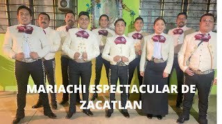 amorcito corazon mariachi espectacular de zacatlan [upl. by Wait653]