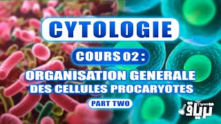 CYTOLOGIE 1ère année  Organisation Générale de la Cellule Procaryote  Partie 2 [upl. by Tye]