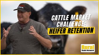 THIS is why the US Heifer Retention Remains Low  Insights from Feedlot Owner [upl. by Moia266]