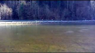 Hochwasser zwischen Ulm amp Blaubeuren [upl. by Assela]