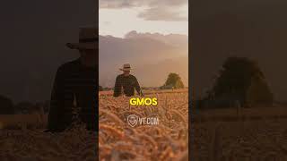 GMOs Banned Worldwide But Common in the US [upl. by Jada]