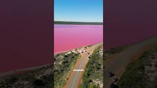 Lake Hillier Australia lakehillier australia [upl. by Kinzer]