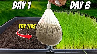 The FASTEST Way to Grow Grass Seed Pregermination Secrets REVEALED [upl. by Jehovah592]