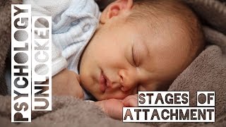 How Babies Form Attachments  Four Stages  Schaffer amp Emerson [upl. by Yasdnil]