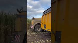 John Deere 7430 🌾🚜 shortsvideo johndeere harvesting [upl. by Ahtibbat118]