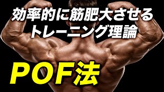 【POF法】効率的に筋肥大を実現する筋トレ理論【ビーレジェンド プロテイン】 [upl. by Dott]