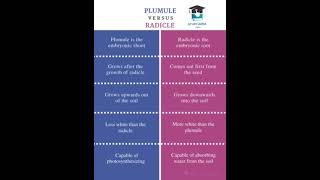 Difference between Plumule and Radicle Mscbscscience [upl. by Marleen]