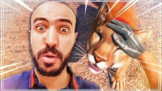 JAI ADOPTÉ UN COUGAR SUR FAR CRY 5 [upl. by Loseff]