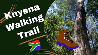 Knysna Ysterhoutrug Hiking Trail  no Elephant spotted today [upl. by Jamaal]