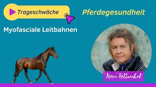 Myofasciale Leitbahnen  OnlineSeminare mit Gloria Grothe  Pferdegesundheit  Karin Kattwinkel [upl. by Zulch]