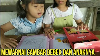 BELAJAR MEWARNAI GAMBAR BEBEK  ACELIN MAKIN SEMANGAT MEWARNAI GAMBAR [upl. by Frants]