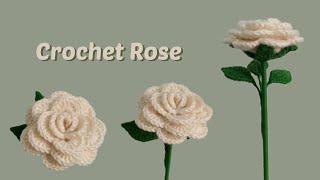 How to crochet an Easy Rose  Step by step and beginner FRIENDLY  Crochet flowers [upl. by Rednasyl]