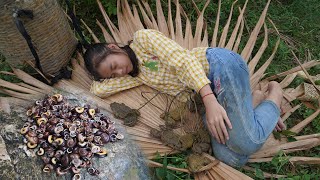 Full video Strong winds damaged the poor girls thatchedroof house Harvest ripe beans snails [upl. by Shaefer483]