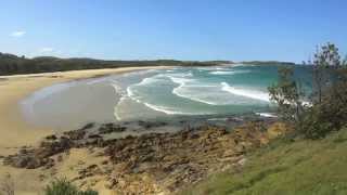 Emerald Beach Moonee Beach and Fiddarmans Beach  a beautiful walk along the ocean front [upl. by Walrath200]