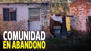 Alerta Sanitaria Plaga de Garrapatas afecta a la Comunidad Indígena en Parral [upl. by Eniarol570]