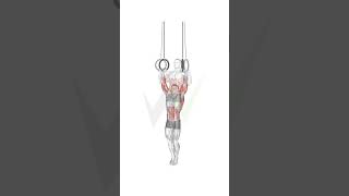 Master the Ring Muscle Up Ultimate Upper Body Strength Challenge fitnesstips motivation [upl. by Erdreid]