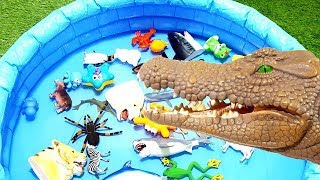 Animals Farm Toys ★ Learn Animals Names and Sounds Educational Toys for Kids Learn Zoo Wild Animals [upl. by Leonidas]