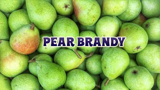 Making Pear Brandy [upl. by Leuas]