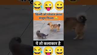 Oscar winning actor 🤣🐕🧐 shorts funny trending [upl. by Teplitz]