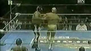 Pierroth Vs El Supremo mascara vs masacara 3 [upl. by Halludba]