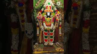 edukondalavada Venkataramana Govinda photos  short  please like and subscribe🙏🙏🙏 [upl. by Alidus]