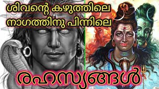 why lord shiva wear snake Mystery behind snakes around Shivas neckശിവന്റെ കഴുത്തിലെ നാഗം [upl. by Nnayrrehs393]