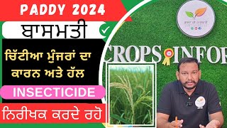 ਬਾਸਮਤੀ ਗੋਭ ਸੁੰਡੀ ਕੰਟਰੋਲ stem borer control in basmati rice [upl. by Orferd54]