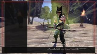 ESO  Stamina Warden build for Dragonhold [upl. by Sophey]