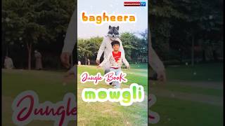 Jungle Book Returns Mowgli and Bagheera ki Kahani ke Sath bawalipooch junglebook webseries [upl. by Etnoed]