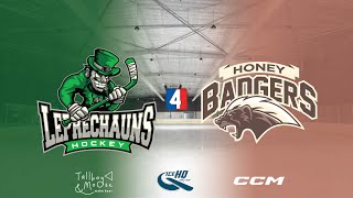 Leprechauns v Honey Badgers  Div 4  30th October  IceHQ Rec League ice hockey [upl. by Ateekram]