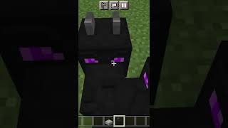 MINECRAFT VIRAL TIKTOK HACK 😱minecraft gaming hacks [upl. by Karlise]