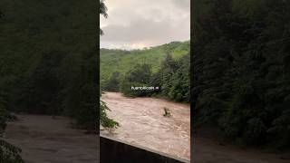 Crecida de río en Yauco esta tarde nos comparte un seguidor fypyoutube puertorico rios [upl. by Ynnaej]