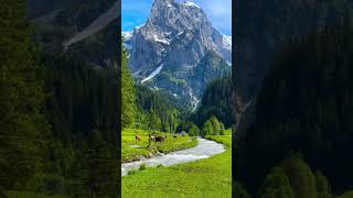 Breathtaking View From Switzerland ytshorts travel ytshort youtubeshorts switzerland [upl. by Nilrac]